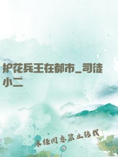 护花兵王在都市