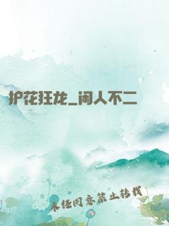 护花狂龙