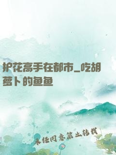 护花高手在都市