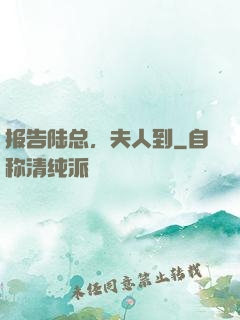 报告陆总，夫人到