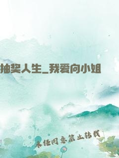 抽奖人生