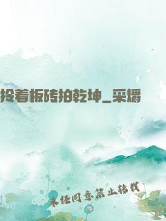 拎着板砖拍乾坤