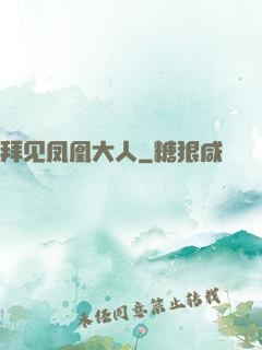 拜见凤凰大人