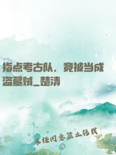 指点考古队，竟被当成盗墓贼