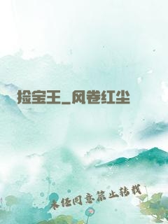 捡宝王