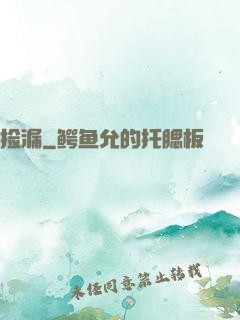 捡漏