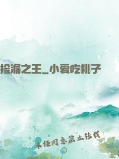 捡漏之王