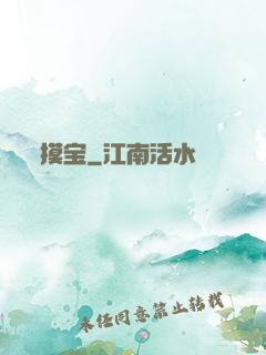 摸宝
