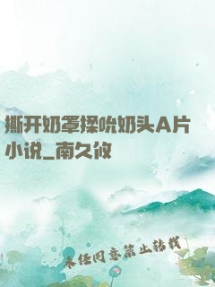 撕开奶罩揉吮奶头A片小说