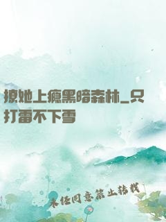 撩她上瘾黑暗森林