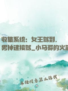 收集系统：女王驾到，男神速接驾