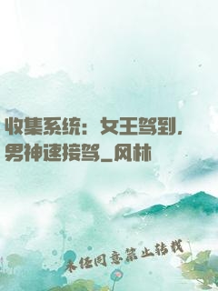 收集系统：女王驾到，男神速接驾