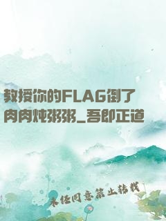 教授你的FLAG倒了肉肉炖粥粥