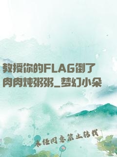 教授你的FLAG倒了肉肉炖粥粥