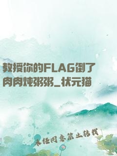 教授你的FLAG倒了肉肉炖粥粥