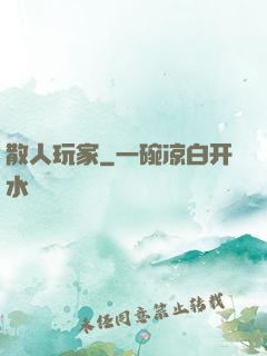 散人玩家