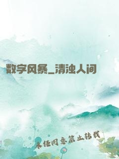 数字风暴