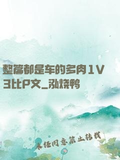 整篇都是车的多肉1V3比P文