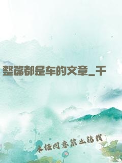 整篇都是车的文章