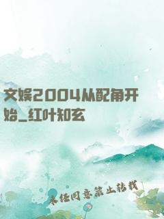 文娱2004从配角开始