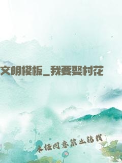 文明模板
