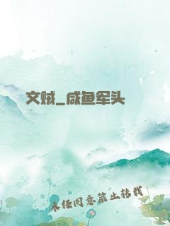 文贼