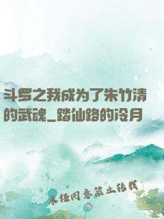 斗罗之我成为了朱竹清的武魂