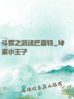 斗罗之武魂巴雷特