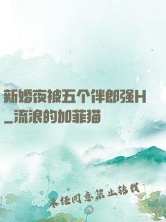 新婚夜被五个伴郎强H