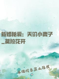 新婚秘爱：天价小妻子