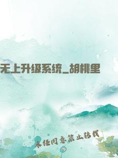 无上升级系统