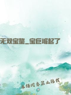 无双宝鉴