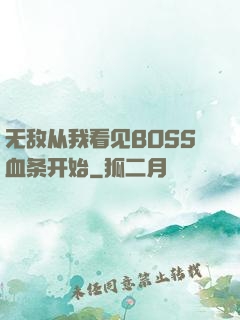 无敌从我看见BOSS血条开始