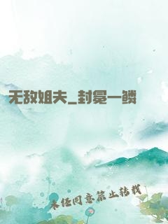 无敌姐夫