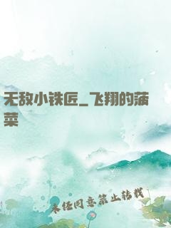 无敌小铁匠