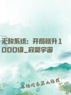无敌系统：开局就升1000级
