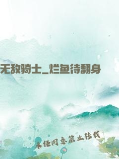 无敌骑士