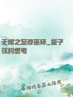 无限之至尊巫师