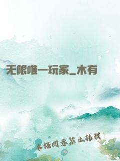 无限唯一玩家