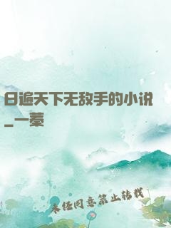 日遍天下无敌手的小说