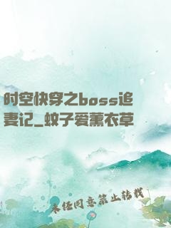 时空快穿之boss追妻记