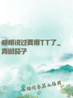 明明说过要用TT了