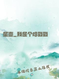 星壶