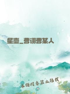 星壶
