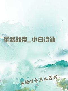 星武战帝