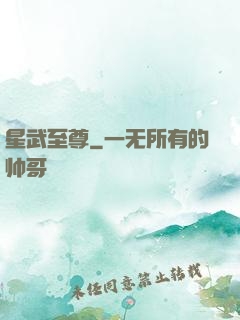 星武至尊