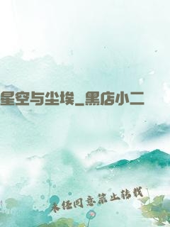 星空与尘埃