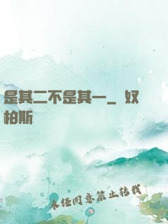 是其二不是其一