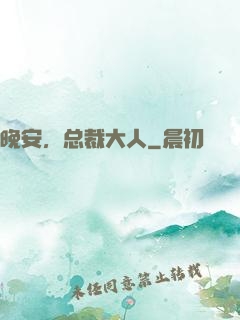晚安，总裁大人