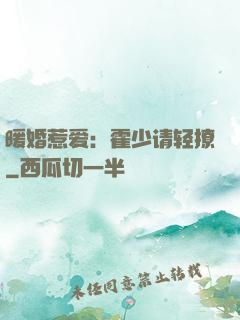暖婚惹爱：霍少请轻撩